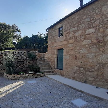River House Sejaes Oliveira de Frades Екстериор снимка