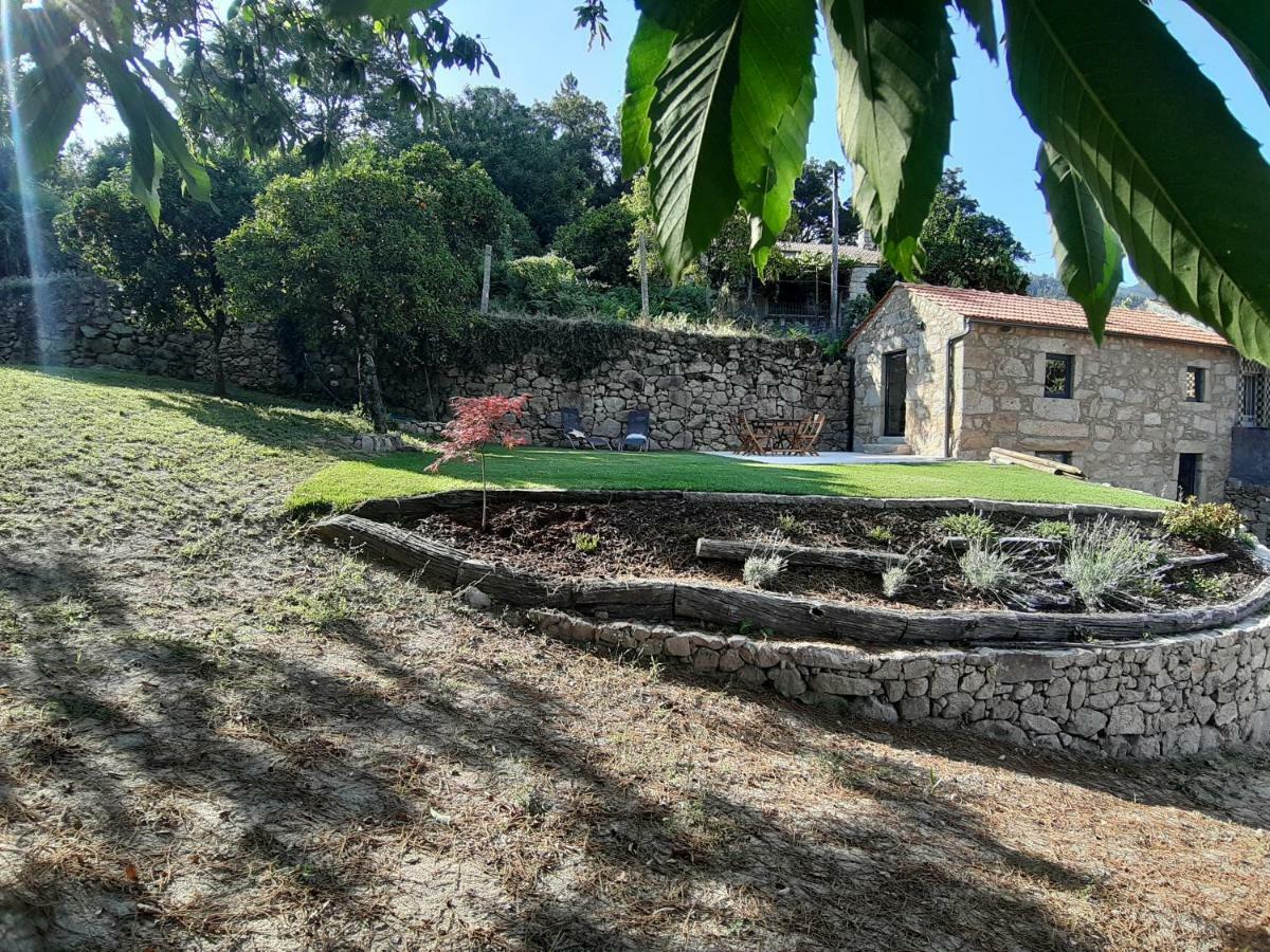 River House Sejaes Oliveira de Frades Екстериор снимка