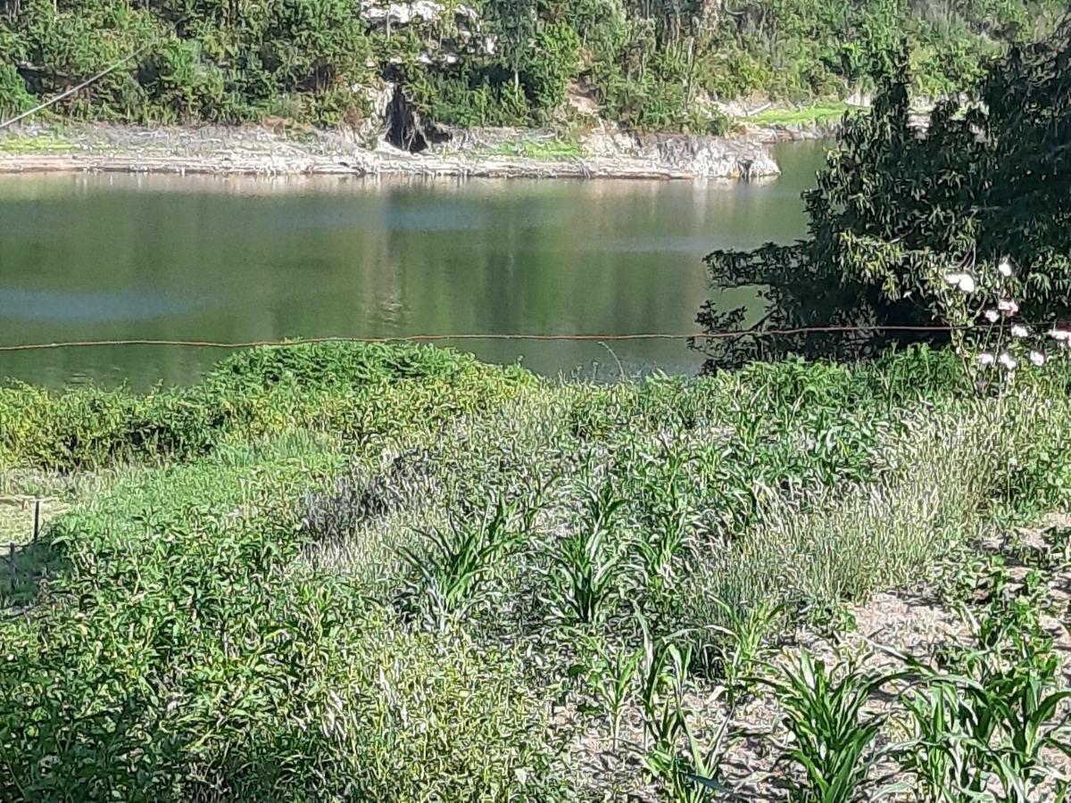 River House Sejaes Oliveira de Frades Екстериор снимка