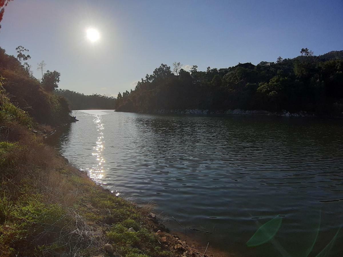 River House Sejaes Oliveira de Frades Екстериор снимка