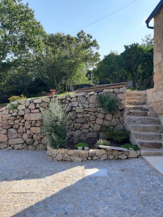 River House Sejaes Oliveira de Frades Екстериор снимка